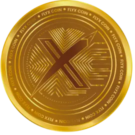FlyX