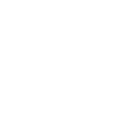 FlyX Coin Social Media Background
